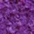 Violeta