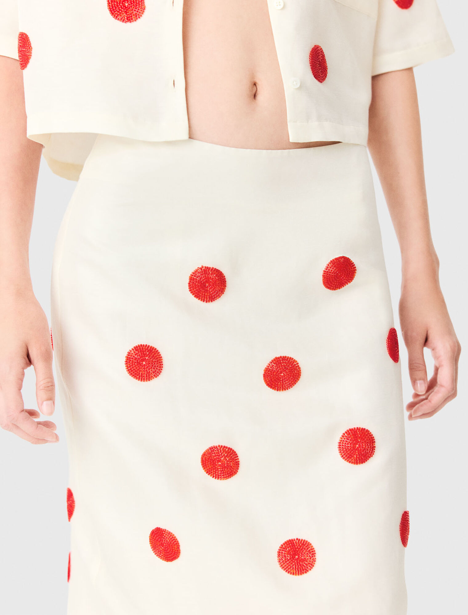 Falda tubo de lino y seda bordada